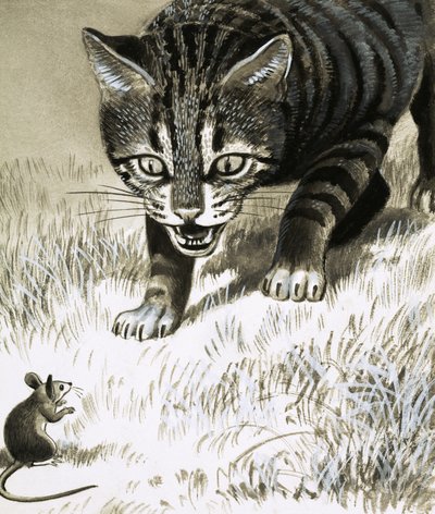 Cat Approaching Mouse by English School